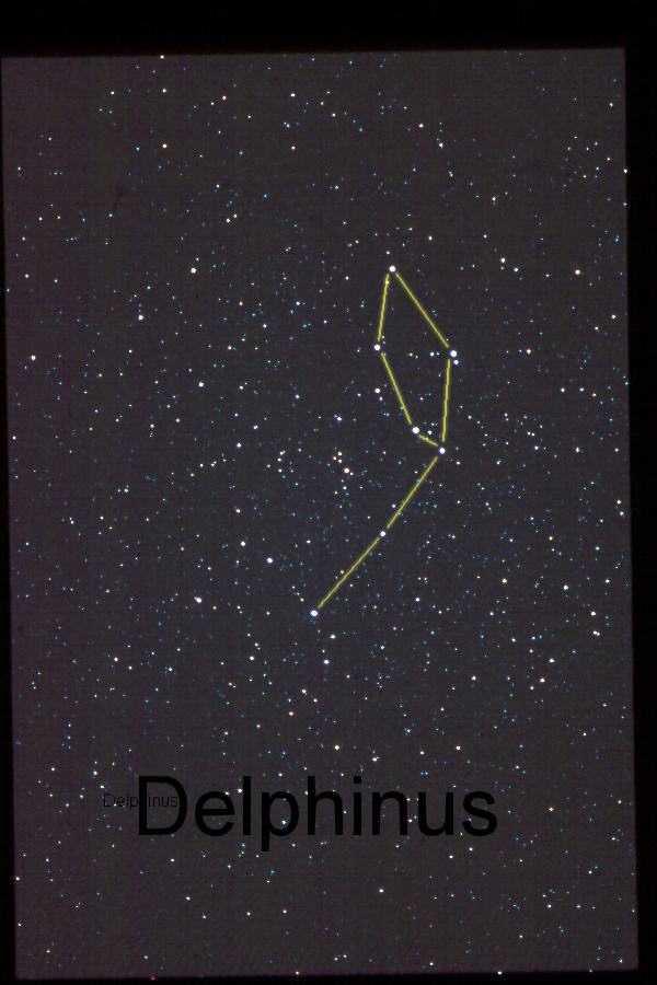 Delphinus Constellation with overlay - 135-mm. 6/27/87. Copyright Ed Flaspoehler