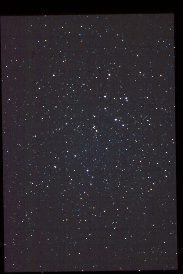 Delphinus Constellation - 135-mm. 6/27/85. Copyright Ed Flaspoehler