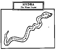 hydra constellation facts