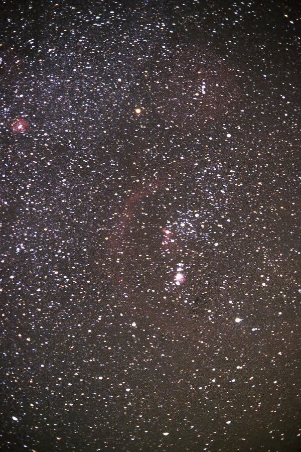 Orion Constellation - 50-mm. 1/18/85. Copyright Ed Flaspoehler