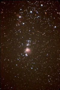 M42, the Great Nebula in Orion. Photo copyright Ed Flaspoehler 2006