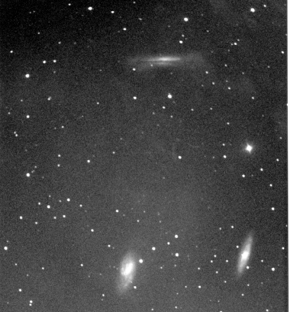 Galaxy Trio in Leo: M65, M66, and NGC 3628. Photo copyright Ed Flaspoehler