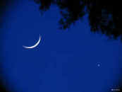 i5150025e.jpg (4918 bytes)