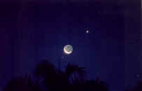 luavenus.jpg (26543 bytes)