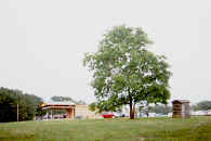 msral7.jpg (7911 bytes)