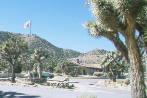 Observing at Black Rock Canyon, Joshua Tree National Park