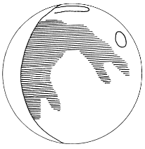 The Cow Jumps over the Moon