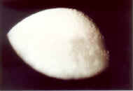 rj-15mm.jpg (7189 bytes)