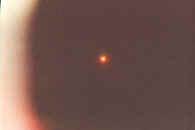 roseann1.jpg (16159 bytes)