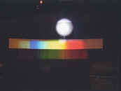 mcdonald3.jpg (6364 bytes)